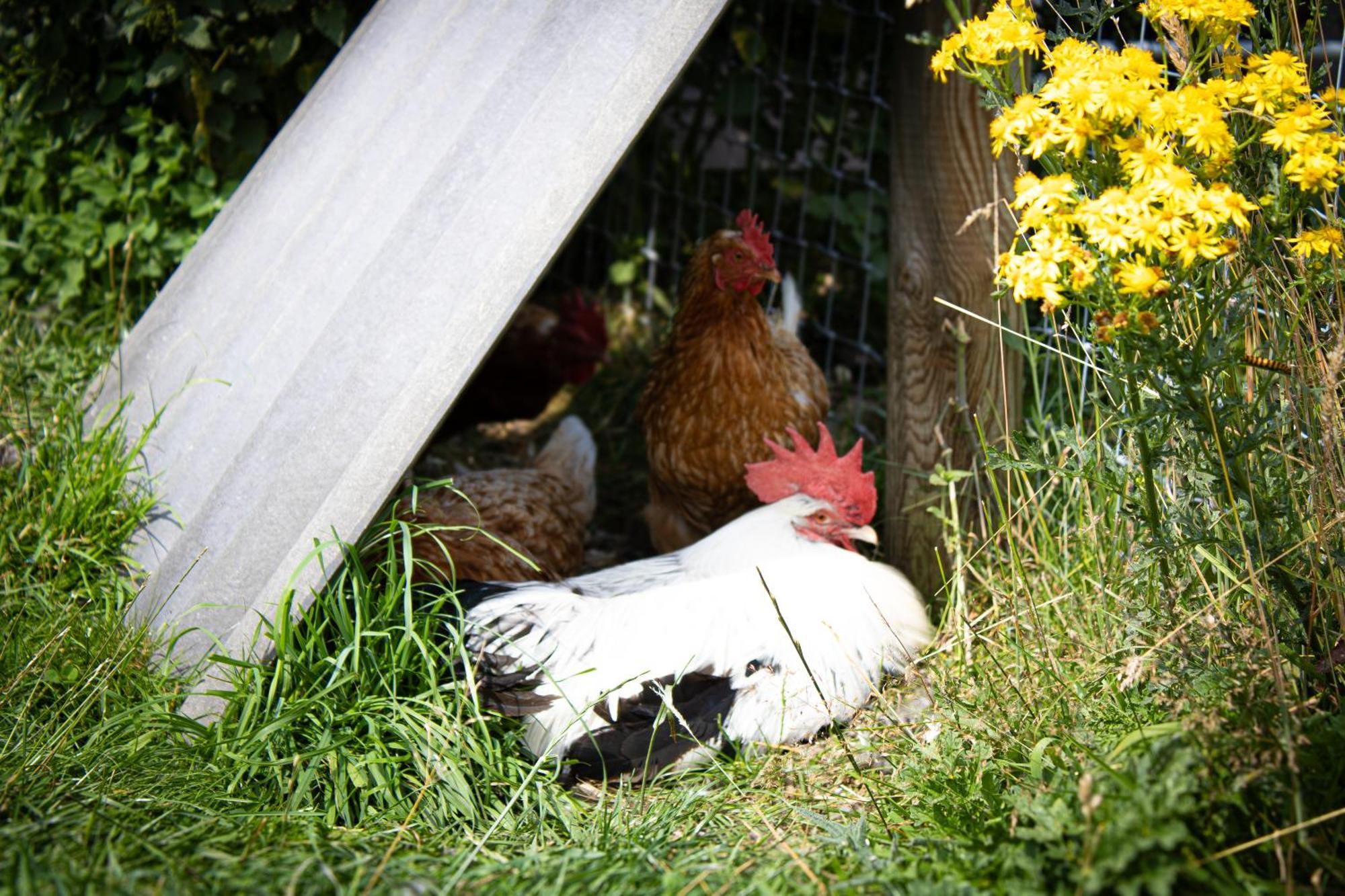 Home Farm & Lodge Bawtry Luaran gambar